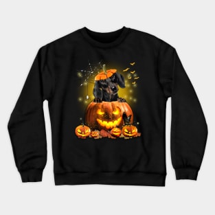 Black Dachshund Spooky Halloween Pumpkin Dog Head Crewneck Sweatshirt